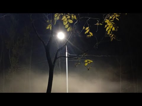Видео: Быть личностью
