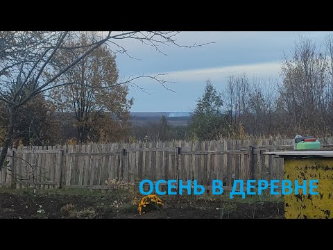 Видео: Осенняя деревня. Закрываем сезон. Видеонаблюдение в деревне // УАЗ - до весны.