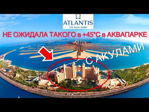 Видео: Сколько стоит аквапарк Атлантис в Дубае? #выжитьвдубае #атлантис