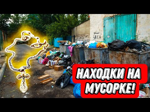 Видео: НАШЛИ ЗОЛОТО и КУЧУ ЕДЫ на МУСОРКАХ! Находки на помойках Питера!