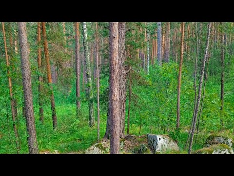 Видео: Забрела к Лешим без разрешения.И вот что я увидела! 😳🔥