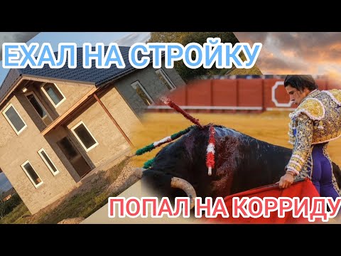 Видео: Что нам стоит 🏠 заштукатурить