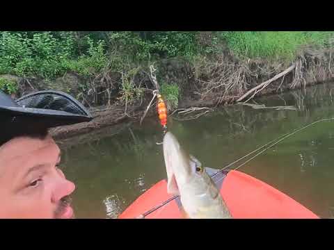 Видео: Рыбалка и отдых на реке Чулым.