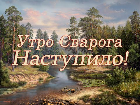 Видео: Перестань быть кормом паразитов!
