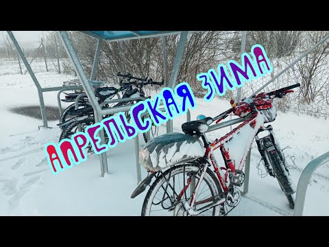 Видео: зима вернулась ⛄🚴‍♀️🌨