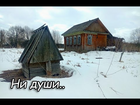 Видео: Что не дом, то удивительные находки старины! Заброшенная деревня Рязанской области.