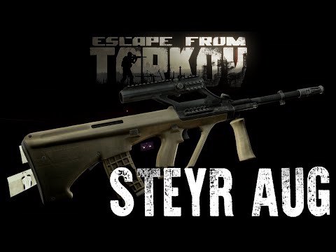 Видео: Австрийский правша - Steyr AUG [Проект Оружейка]