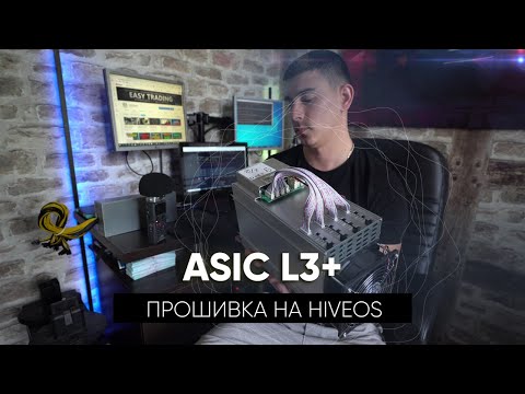 Видео: Настройка, запуск  и прошивка асика L3+ на Hiveos. Если асик не прошиваеться