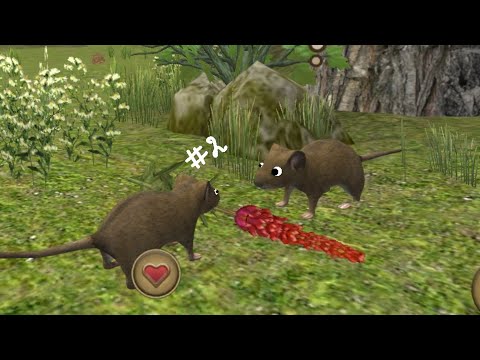 Видео: Симклятор Мыши! #2 нашли супругу и иследовали болото!🐀 #симулятормыши #атив #залети 