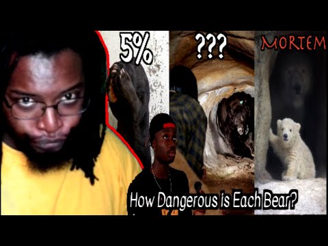 Видео: Каждый медведь и его шансы лишить вас жизни [Casual Geographic] Реакция DB