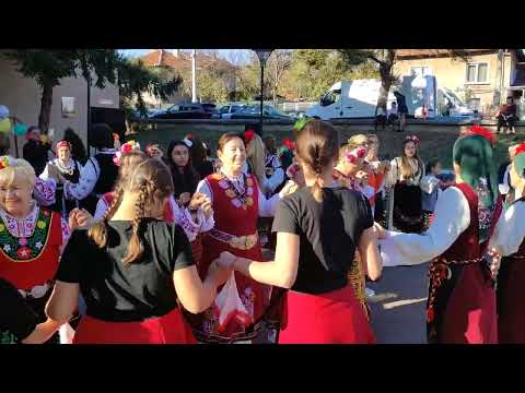 Видео: Общо хоро на събора в Негушево