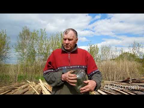 Видео: Приманка на соболя и куницу.