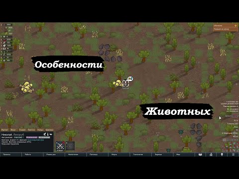 Видео: RimWorld Гайд по Особенностям Животных