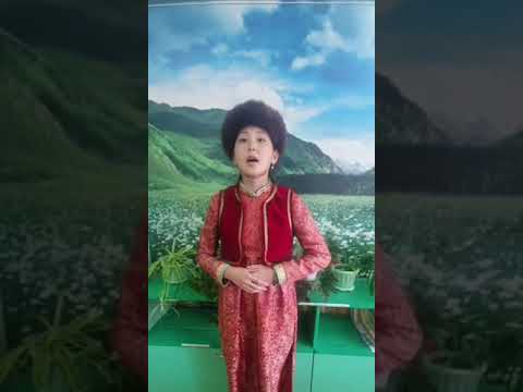 Видео: «Архиин дуун» Халманова Ольга Кахинская СОШ