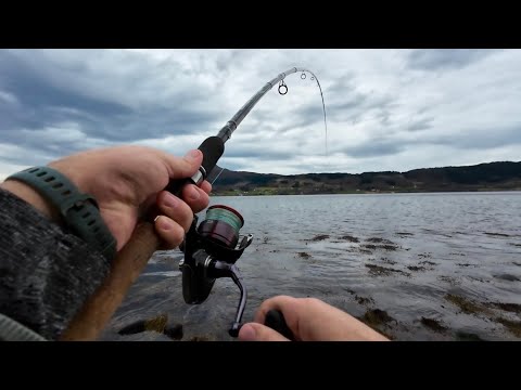 Видео: ПАЛТУСЫ на Донку! РАСПАКОВКА! Ловля на донку в Норвегии с берега