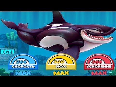 Видео: 🌍Hungry Shark World Обзор на (🦈Косатка🦈)🌎