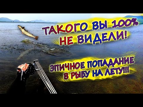Видео: Эпичная охота с рогатки 2021-Такого ещё никто не делал-попадание в рыбу на лету!