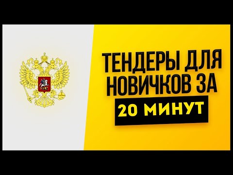 Видео: ТЕНДЕРЫ и ГОСЗАКУПКИ для начинающих за 20 минут. Госзакупки с нуля. Тендеры в грузоперевозках с нуля