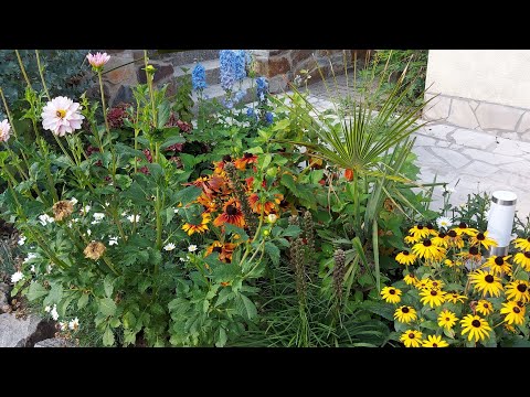 Видео: Антибиотик не помогает....