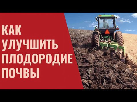 Видео: Как ПОВЫСИТЬ ГУМУС  и ПЛОДОРОДИЕ почвы. Севооборот. Обработка почвы. Удобрения.