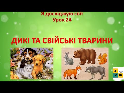 Видео: ЯДС 2 клас Урок 24 ДИКІ ТА СВІЙСЬКІ ТВАРИНИ. ЯДС  Жаркова