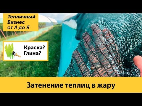 Видео: Затенение теплиц. Профессиональные фермерские методы притенения