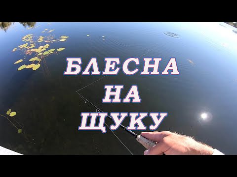 Видео: ПОДСМОТРЕЛ у Рыбака Китайскую вертушку! БАРАХЛО НЕ ПОКУПАЕМ!