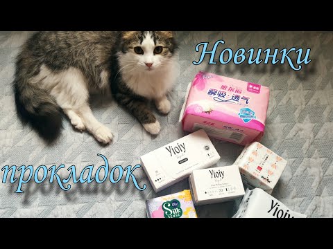 Видео: Новинки прокладок / обзор и первые впечатления