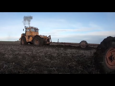 Видео: Трактор Кировец. Боронование.