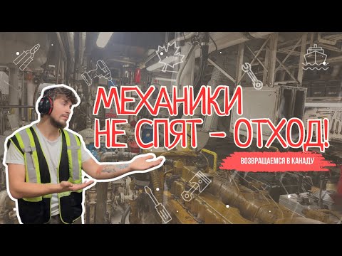 Видео: Последние часы перед отходом: хаос, якорь в грязи и королевский ужин ужин