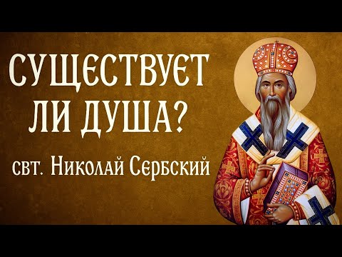Видео: СУЩЕСТВУЕТ ЛИ ДУША? | свт. Николай Сербский