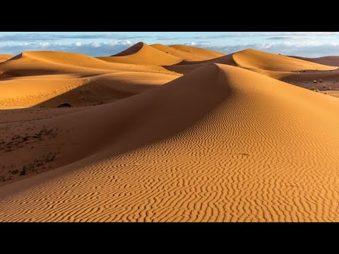 Видео: Кобо Абэ - Женщина в песках