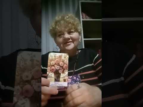 Видео: Таро розклад_Чи любить вас загаданий мужчина?