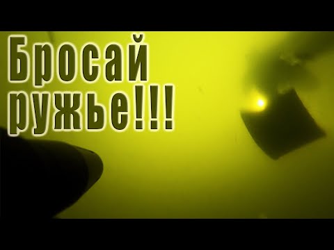 Видео: ЕСЛИ ХОЧЕШЬ ЖИТЬ!!! ВРОДЕ БЫ ОБЫЧНАЯ ПОДВОДНАЯ ОХОТА...