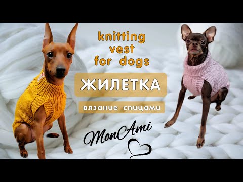 Видео: Как связать спицами жилетку для собаки, knitting vest for dogs