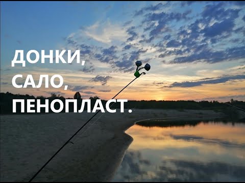 Видео: Донки.Сало.Пенопласт.Рыбалка с ночевкой на Ветлуге.