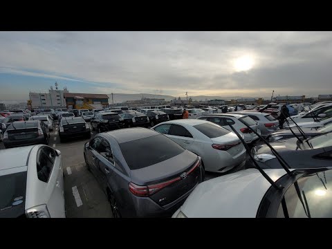 Видео: Автобарахолка Монголии ч.2 ТОЙОТА СУБАРУ ХОНДА масла, шины, запчасти #уланбатор #монголия #авто