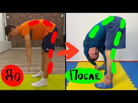 Видео: Главный принцип гибкости: растягиваем заднюю поверхность ног!