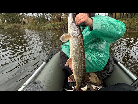 Видео: ПРОЛИВНИЙ ДОЩ НЕ НА ЗАВАДІ КЛЮЄ ЯК НІКОЛИ!ЧАСТИНА 2