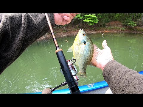 Видео: Рыбалка на ужин. Моя любимая рыба