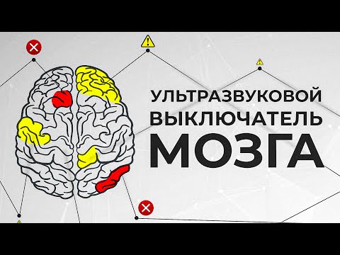 Видео: Как отключить мозг с помощью ультразвука? [Veritasium]