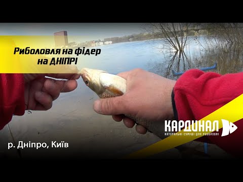 Видео: Олександр автор каналу "РЫБАЛКА В КИЕВЕ.". ФІдер у місті. Лівий берег Дніпра!