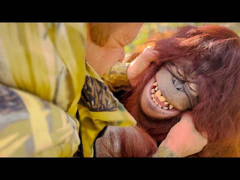 Видео: Олег Зубков пришел к Дане! Это НАДО ВИДЕТЬ,какими глазами она на него смотрит!