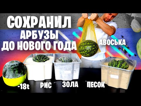Видео: АРБУЗ на НОВЫЙ ГОД 🍉🎄😋 КАК СОХРАНИТЬ проверил 10 СПОСОБОВ