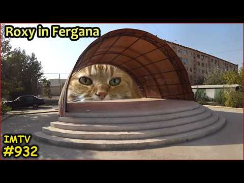 Видео: Воскресный базар в Фергане. Золотая осень в солнечном Узбекистане