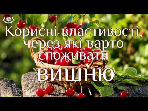 Видео: Корисні властивості, через які варто споживати вишню