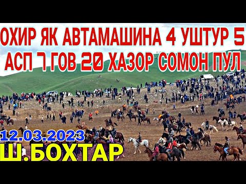 Видео: 0ХИР ЯК АВТАМАШИНА 4 УШТУР 5 АСП 7 ГОВ 20 ХАЗОР СОМОН ПУЛ БУЗКАШИ 2023 / БУЗКАШИ ТЧ АСО ЧОВАНДОЗ
