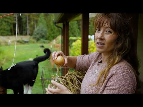 Видео: Это позволяет сохранить лук на целый год — длительное хранение (нанизывание лука на нитку)