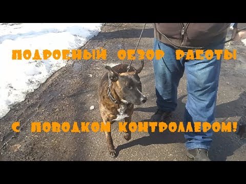 Видео: Поводок контроллер. Инструкция.