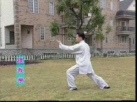 Видео: 1-5 формы медленно со спины из Тайцзи 24 формы. Tai Chi The 24 Forms (1-5). Slow Back View. 1.3/4.